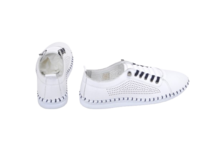 Iberius 064-6019B