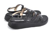 Wonders C-6531