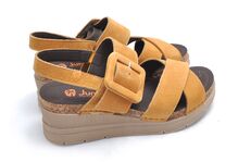 Jungla 8020