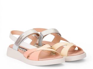 Wonders WONDERS C-6552