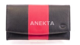 Anekta S2823