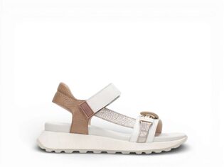 Hispanitas CHV264679