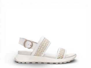 Hispanitas RHV264714