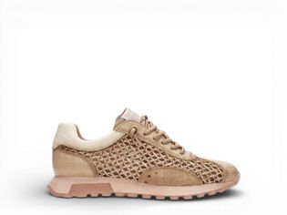 Hispanitas RHV264741