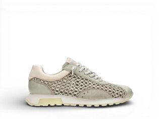 Hispanitas RHV264741