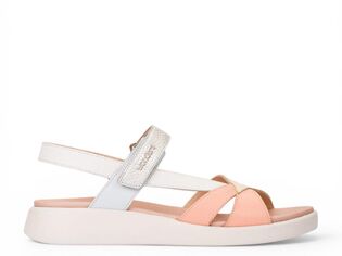 Wonders WONDERS C-6552